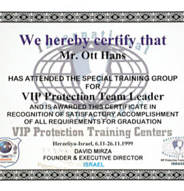 VIP Protect Team-Leader